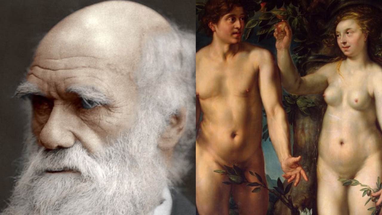 Darwin o Adamo ed Eva: le interpretazioni