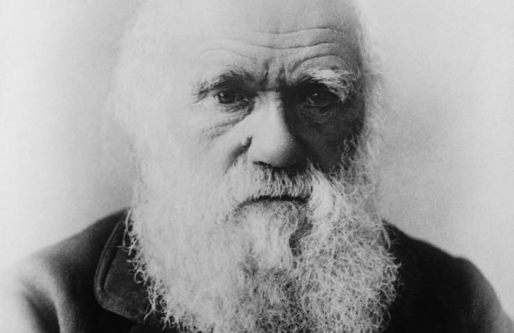 Darwin o Adamo ed Eva