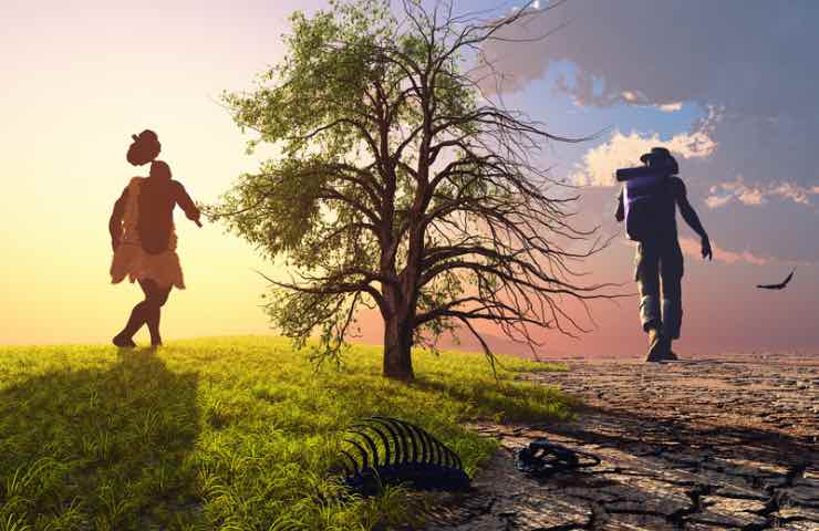Teoria dell'evoluzione