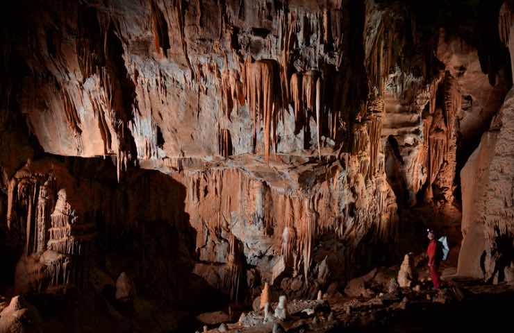 Straordinaria scoperta sulla Terra