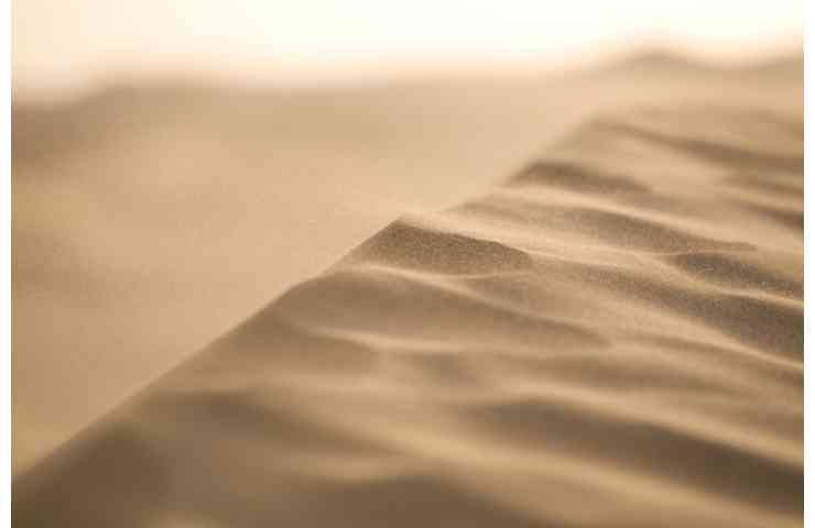dune canto