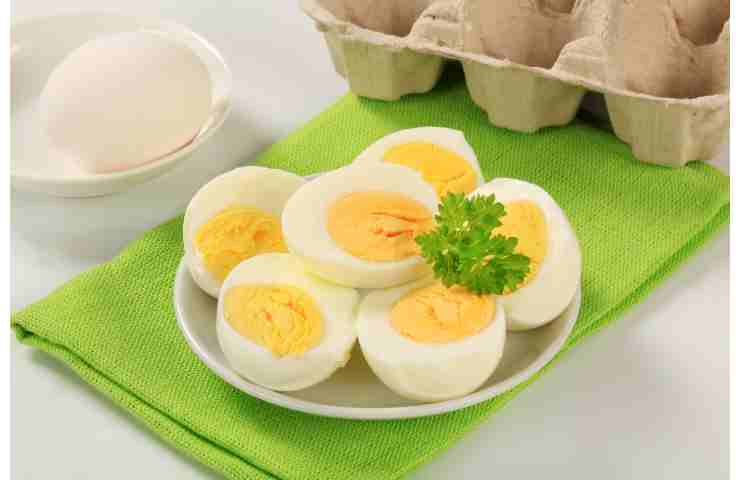 Alimento nutizione