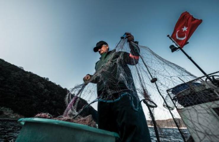 pesce scorpione avvistamento calabria