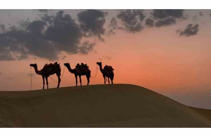 deserto Mosè Aronne