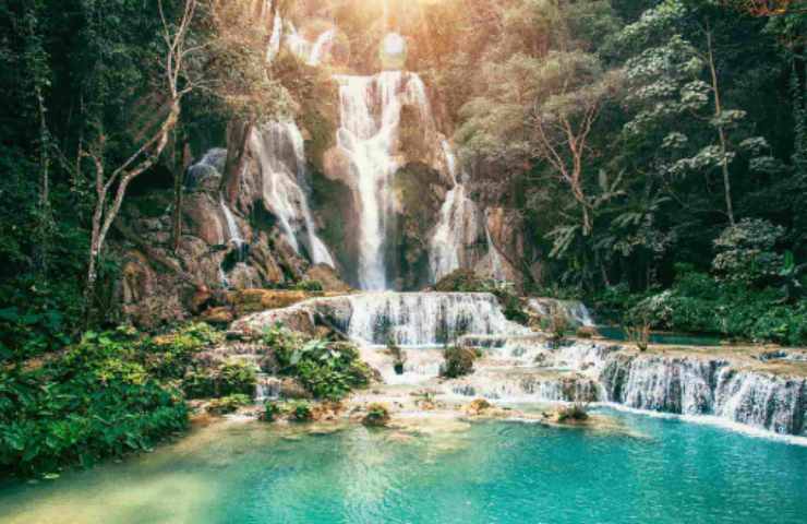 cascate e foresta