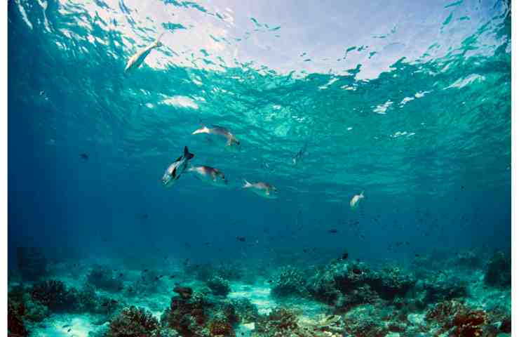 presenza aliena in mezzo all'oceano