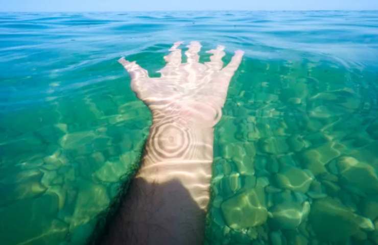 Mare acqua insetti morsi