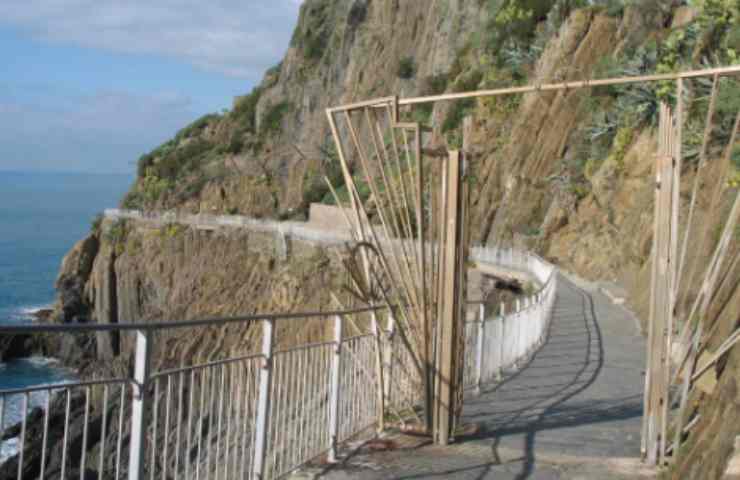 ingresso a 5 euro
