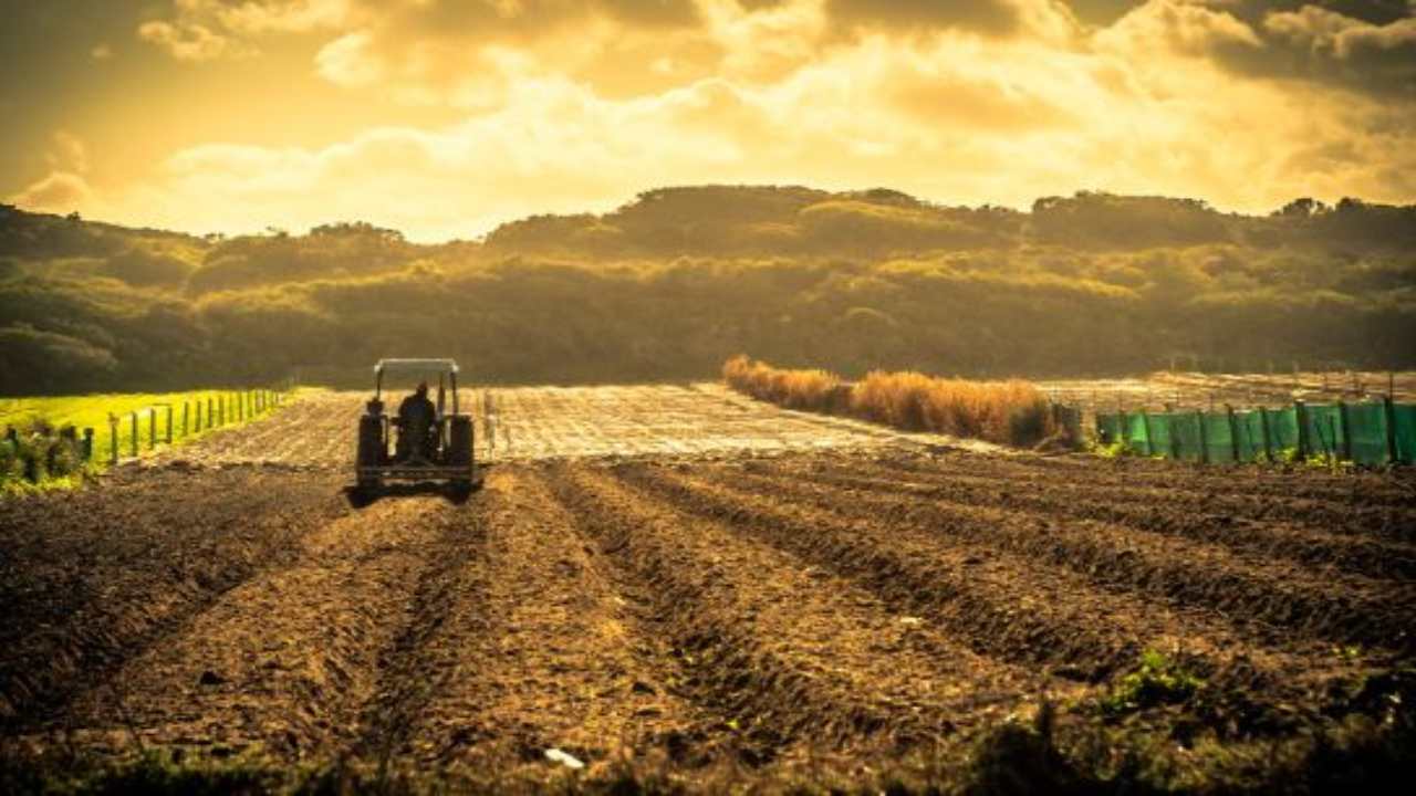 agricoltura cambiamento climatico