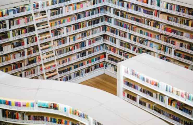 concorso biblioteca università diploma