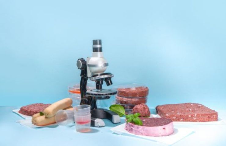 senato vieta carne sintetica