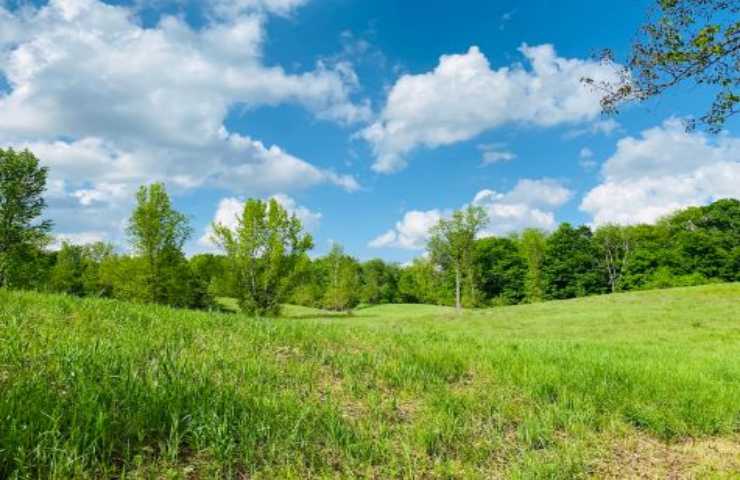 cieli nuovi terre nuove