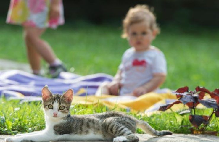 cani gatti bambini