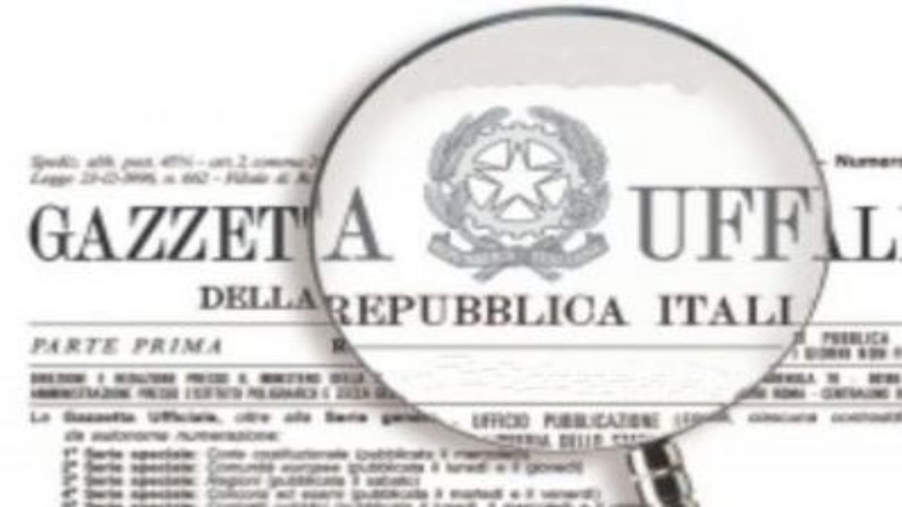 concorso biblioteca università diploma