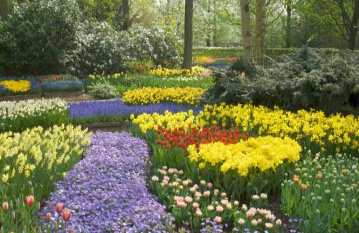 giardino eden