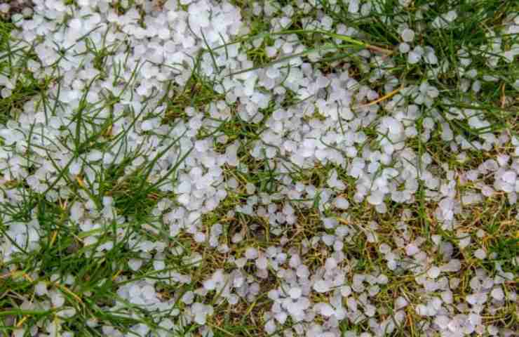 agricoltura cambiamento climatico