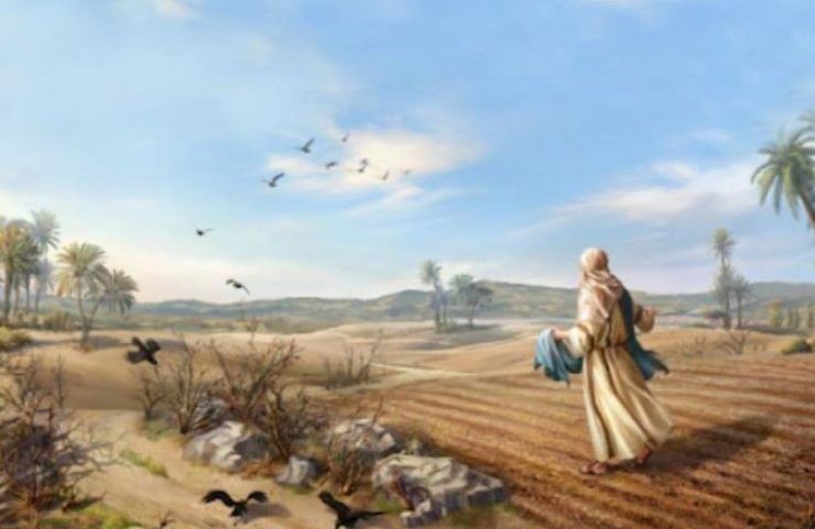 parabola seminatore