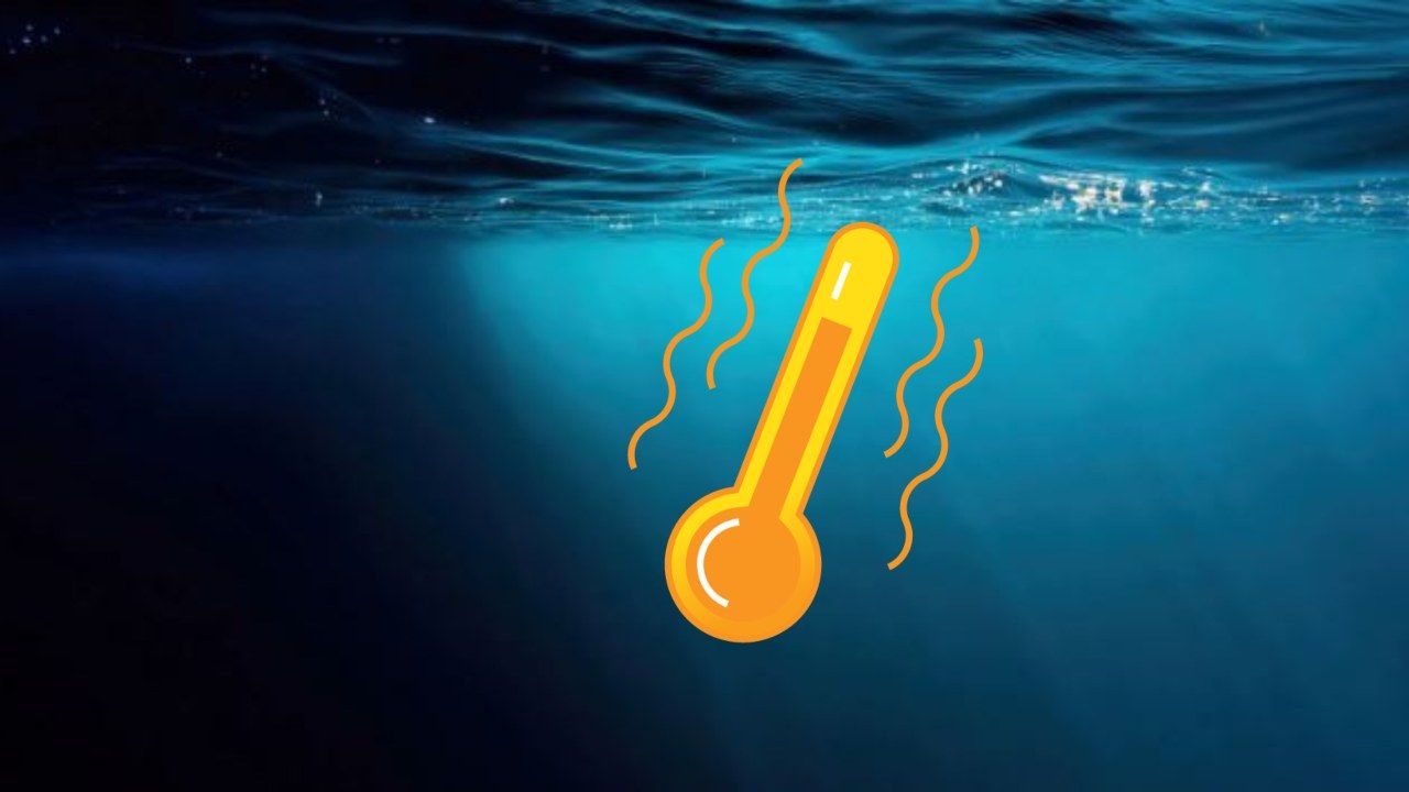 temperatura record acqua oceano
