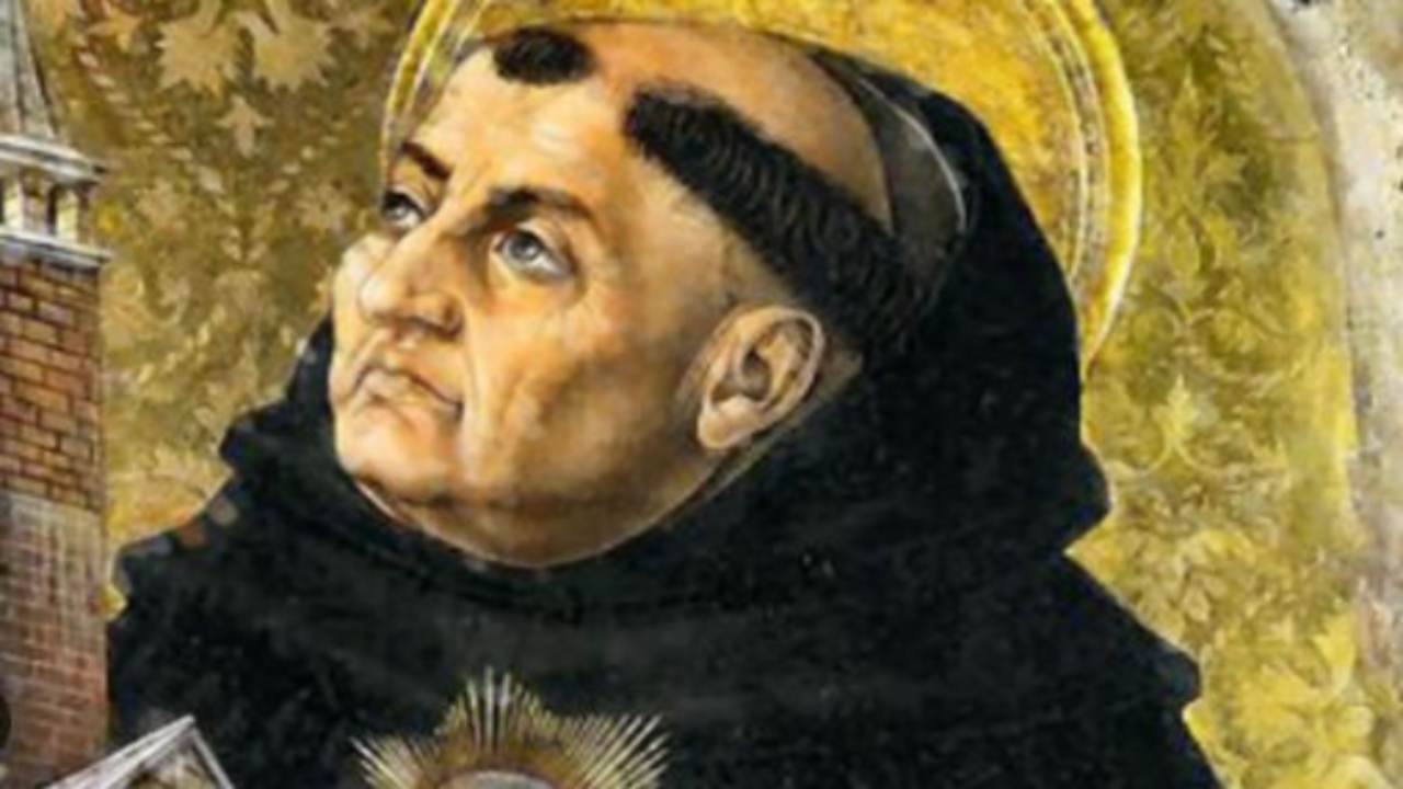 papa francesco ricorda san tommaso aquino