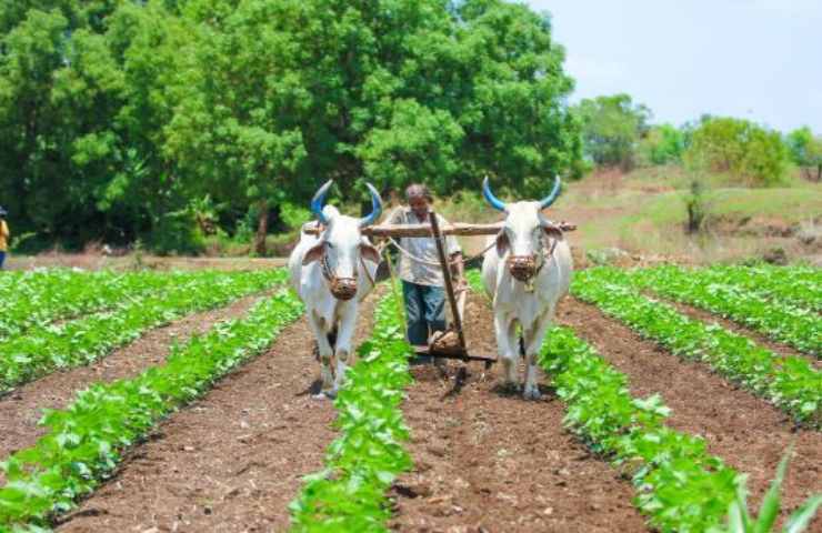 vescovi aiuto proteste agricoltori india