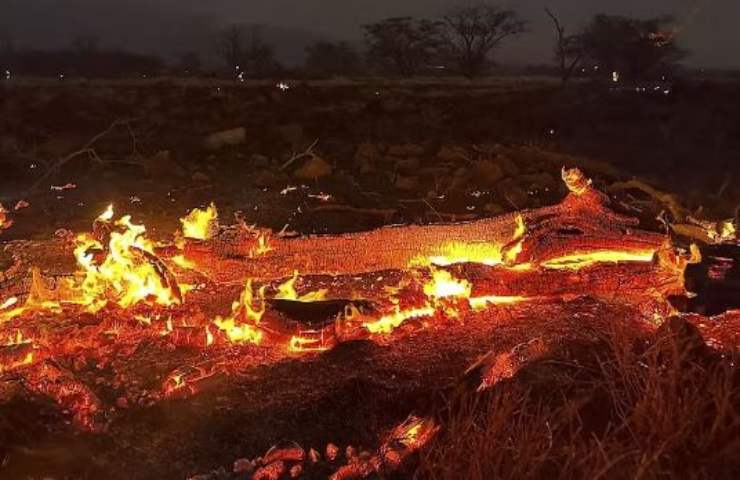 incendi hawaii telegramma papa